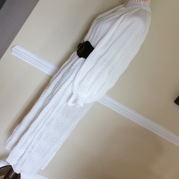 Zara white crinkle dotted Swiss button front dre - Picture 3 of 14